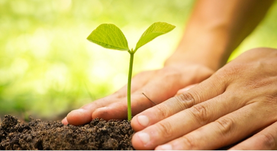 20260321085732 20260321085732